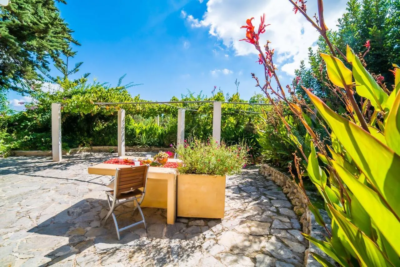 Ideal Property Mallorca - Patufa Alcudia  0*, Alcudia (Mallorca)