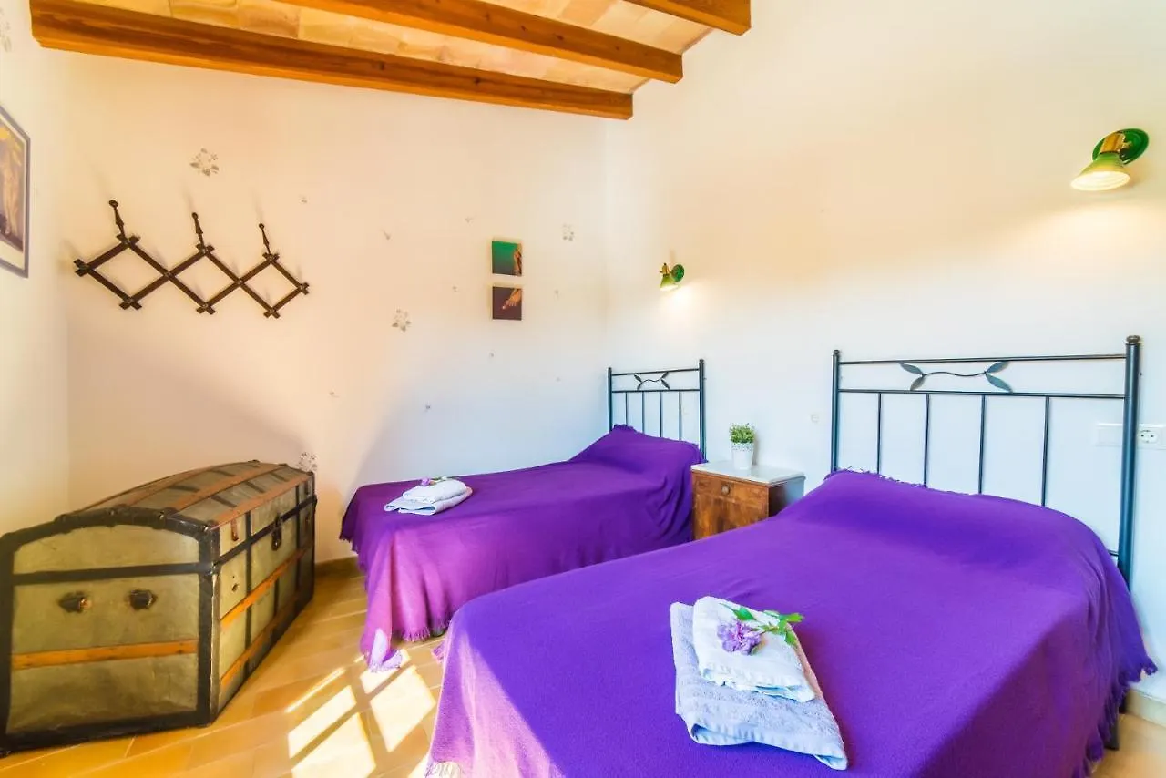 Ideal Property Mallorca - Patufa Alcudia  0*, Alcudia (Mallorca)